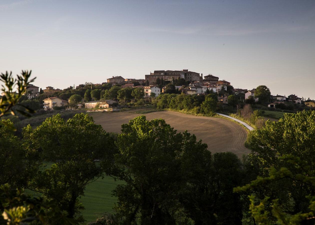 Grande Villa Storica Per Vacanze Con Giardino Privato E Piscina Ostra Exteriör bild