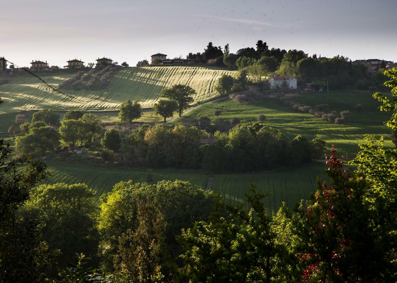 Grande Villa Storica Per Vacanze Con Giardino Privato E Piscina Ostra Exteriör bild