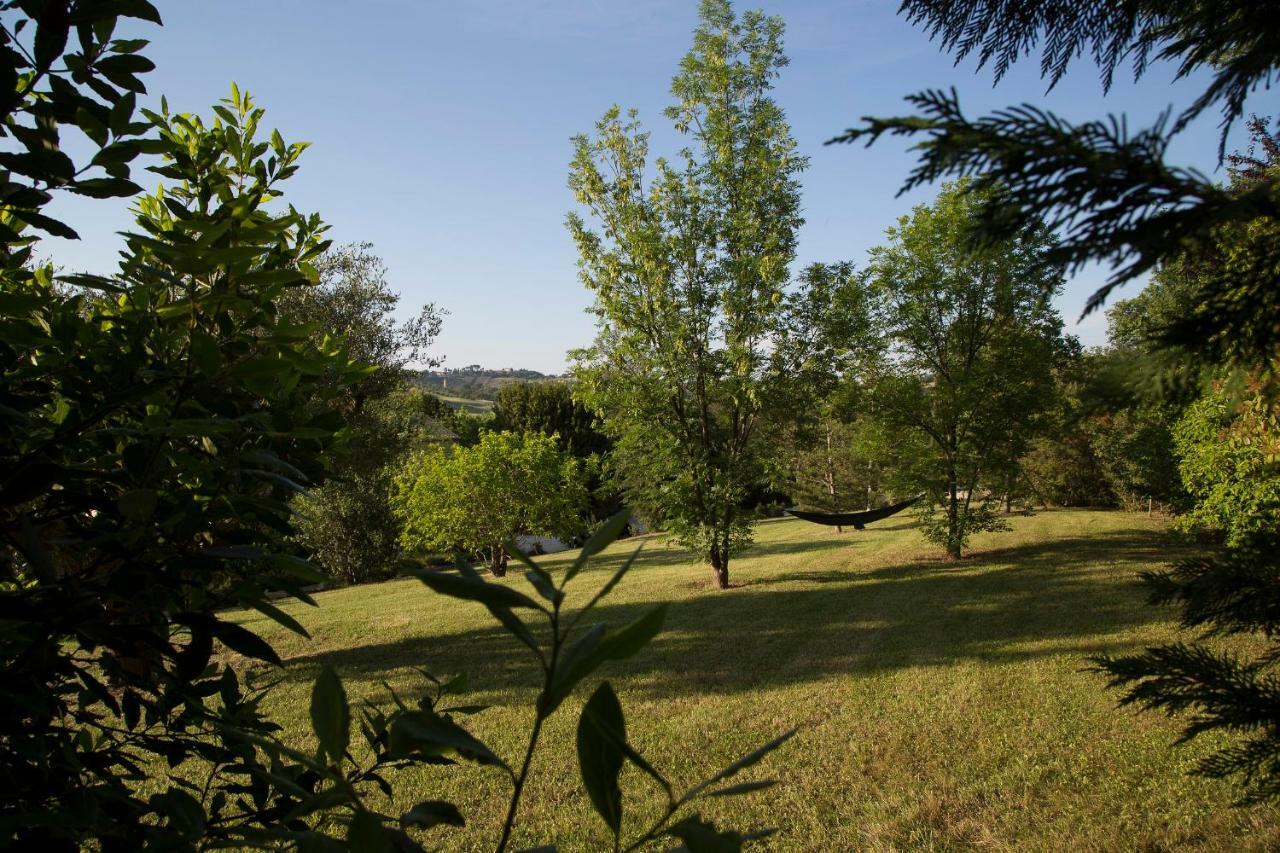 Grande Villa Storica Per Vacanze Con Giardino Privato E Piscina Ostra Exteriör bild