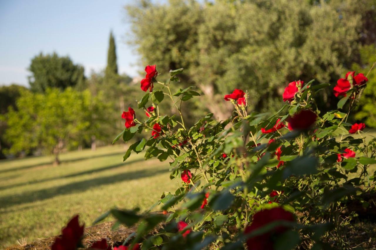 Grande Villa Storica Per Vacanze Con Giardino Privato E Piscina Ostra Exteriör bild